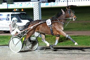 Naama, hier beim Sieg am 29. Dezember, steht vor einer echten Herausforderung (Foto: Uwe Stelling) Naama, hier beim Sieg am 29. Dezember, steht vor einer echten Herausforderung (Foto: Uwe Stelling)
