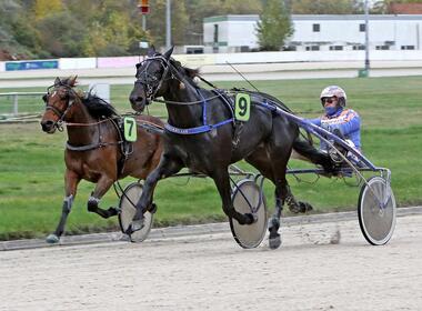 Rob de Vlieger mit seinem Paradepferd General Lee (Foto: Sabine Sexauer) Rob de Vlieger mit seinem Paradepferd General Lee (Foto: Sabine Sexauer)
