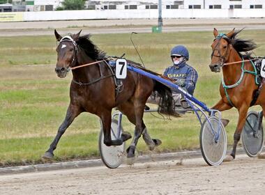 In der Auftaktprüfung steuert Jochen Holzschuh Itseblitz (Foto: traberfoto-sx) In der Auftaktprüfung steuert Jochen Holzschuh Itseblitz (Foto: traberfoto-sx)