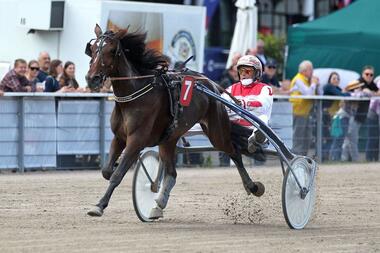 Jos Verbeeck mit Bumblebee S (Foto: Uwe Stelling)