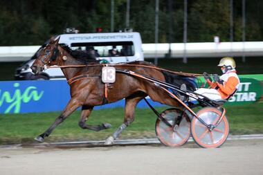 Der Goldhelm in Grift-Farben mit Panoramic © traberfoto-sx.de Der Goldhelm in Grift-Farben mit Panoramic © traberfoto-sx.de