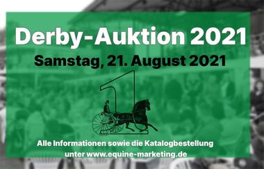 Letztes Update für die Derby-Auktion 2021