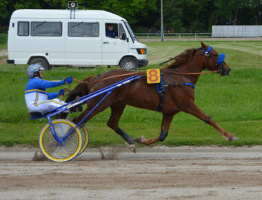 Cachamour mit Marian Tux aus dem Zulagenband (Foto: M. Bäumel-Schachtner) Cachamour mit Marian Tux aus dem Zulagenband (Foto: M. Bäumel-Schachtner)