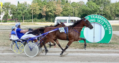 Knock on Wood mit Stefan Hiendlmeier  (Foto: W. Schaffrath)