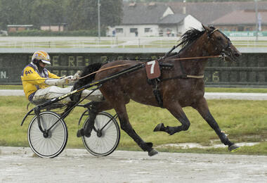 Bereit für Berlin: Business Class mit Rudi Haller © fotofinish.de Bereit für Berlin: Business Class mit Rudi Haller © fotofinish.de