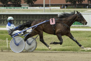 Saisondebüt von Far West (fotofinish.de) Saisondebüt von Far West (fotofinish.de)