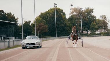 Mercedes 300 SL vs. Trabrennpferd Mercedes 300 SL vs. Trabrennpferd