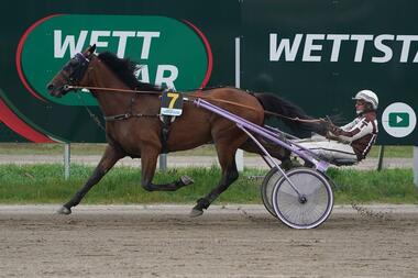 Das Österreichische Derby im Visier: Heck M Eck mit Thorsten Tietz (Fotos: Marius Schwarz) Das Österreichische Derby im Visier: Heck M Eck mit Thorsten Tietz (Fotos: Marius Schwarz)
