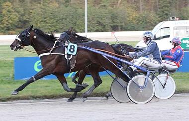 Beim zweiten Jahresstand auf dem Prüfstand: Mister Ed Heldia (Robbin Bot) - © traberfoto-sx Beim zweiten Jahresstand auf dem Prüfstand: Mister Ed Heldia (Robbin Bot) - © traberfoto-sx