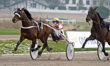 Mister Ed Heldia bezwingt Halva von Haithabu (Foto: Marius Schwarz)