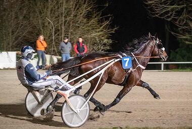 Mister Ed Heldia startete fulminant ins neue Jahr - © Jan Melichar/GelsenTrabPark