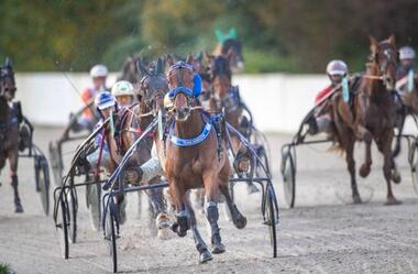 Vorne der Champion: Wie hier mit Waldkautz ließ Michael Nimzcyk die Konkurrenz hinter sich - © Jan Melichar/GelsenTrabPark Vorne der Champion: Wie hier mit Waldkautz ließ Michael Nimzcyk die Konkurrenz hinter sich - © Jan Melichar/GelsenTrabPark
