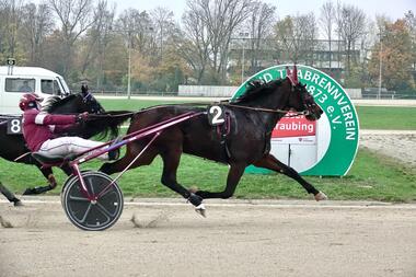 Breeding of Hanke spurtet zum Sieg im Anna-Schumm-Rennen (Foto: Wilfried Schaffrath)