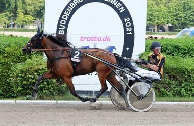 Topfavoritin bei den Stuten: ALL IN LOVE (Foto: Marius Schwarz) Topfavoritin bei den Stuten: ALL IN LOVE (Foto: Marius Schwarz)