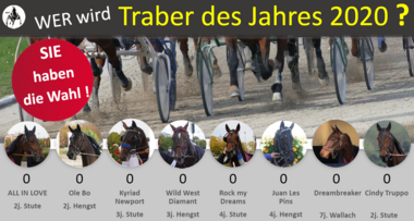 Nachfolger von Orlando Jet gesucht - wer wird Traber des Jahres 2020 Nachfolger von Orlando Jet gesucht - wer wird Traber des Jahres 2020