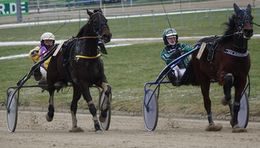 Flash Gordon (links) gewährt Airborne Revanche (Foto: Melanie Bäumel-Schachtner) Flash Gordon (links) gewährt Airborne Revanche (Foto: Melanie Bäumel-Schachtner)