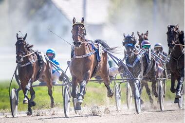 Nervenkitzel und lukrative Wettmöglichkeiten
