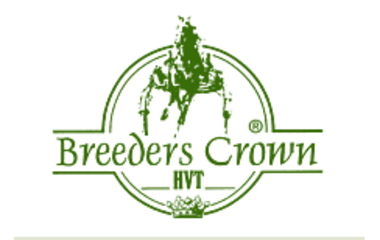 Neuer Beginn 9:30 Uhr - Ein Blick hinter die Kulissen der breeders crown Neuer Beginn 9:30 Uhr - Ein Blick hinter die Kulissen der breeders crown
