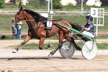 Caroline Gentz setzt am Samstag auf Magic Women H (Foto: Marius Schwarz)