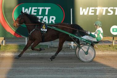Germinal und Victor Gentz am 21. Februar vor dem neuen Karlhorster Zielschild (Foto: Marius Schwarz) Germinal und Victor Gentz am 21. Februar vor dem neuen Karlhorster Zielschild (Foto: Marius Schwarz)