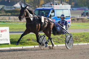 Robbin Bot setzt u.a. auf Englishtown (Foto: Marius Schwarz)