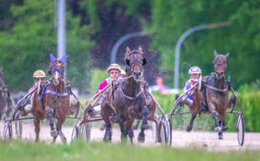 Die letzten 500 Meter unter 1:10 - SALTIMORE mit Constantin Vergos © Jan Melichar/GelsenTrabPark Die letzten 500 Meter unter 1:10 - SALTIMORE mit Constantin Vergos © Jan Melichar/GelsenTrabPark