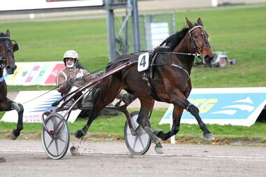 Lasbeks Torina blies zum Halali 2023 (Foto: Uwe Stelling)