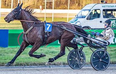 Eine Klasse für sich: Prosperous (Jaap van Rijn) - © Jan Melichar/GelsenTrabPark Eine Klasse für sich: Prosperous (Jaap van Rijn) - © Jan Melichar/GelsenTrabPark