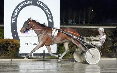 Paris Turf mit Thorsten Tietz (Foto: Marius Schwarz) Paris Turf mit Thorsten Tietz (Foto: Marius Schwarz)