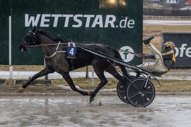 Mit Fantasy for Dreamers machte Robert Pletschacher seinen Hattrick perfekt (Foto: traberpixx.de)