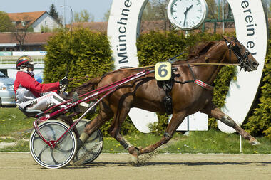 Flying Dream beim bislang einzigen Start in München (fotofinish.de) Flying Dream beim bislang einzigen Start in München (fotofinish.de)