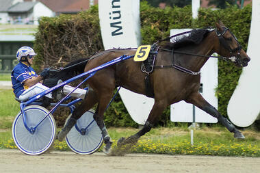Better Be Royal (fotofinish.de)
