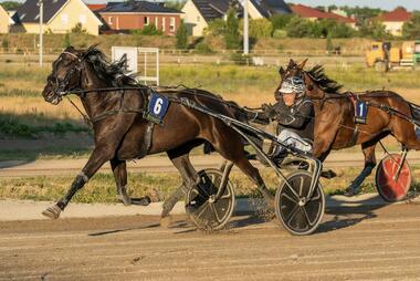 Parodie Vrijthout beim Karlshorster Sieg am 20. Juni (Foto: traberpixx.de)