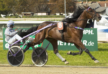 Canavaro Viking steht vor seinem dritten Sieg (Foto: fotofinish.de) Canavaro Viking steht vor seinem dritten Sieg (Foto: fotofinish.de)