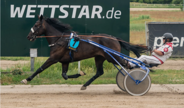 Taly SV mit Michael Hönemann beim Karlshorster Sieg am 31. Mai (Foto: traberpixx.de)