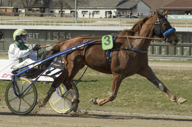 Bleibt das neue Dreamteam Cachamour/Michael Larsen ungeschlagen? (fotofinish.de) Bleibt das neue Dreamteam Cachamour/Michael Larsen ungeschlagen? (fotofinish.de)