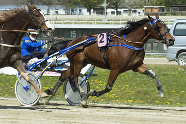 Golden Future hält starke Ocean Blue in Schach (fotofinish.de) Golden Future hält starke Ocean Blue in Schach (fotofinish.de)