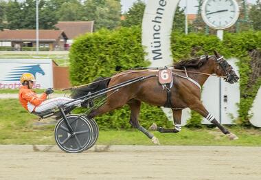 Perfect Dream bei seinem Daglfinger Einstand am 28. August (Foto: Franz Hahn)
