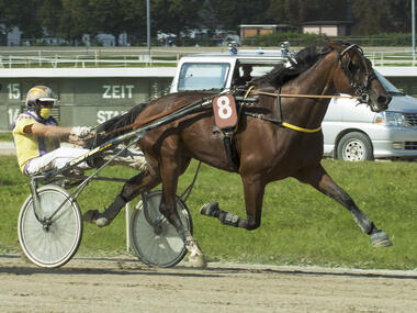 Elfter Sieg in Serie? Giacomo Pastor mit Rudi Haller (fotofinish.de) Elfter Sieg in Serie? Giacomo Pastor mit Rudi Haller (fotofinish.de)