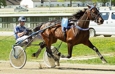 Comeback des zehnfachen Vorjahressieger Very Special One © fotofinish.de