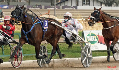 Am Geburtstag ihres Besitzers Peter Eggert gewinnt One Penny Black das Fritz-Brandt-Rennen © Lingk Am Geburtstag ihres Besitzers Peter Eggert gewinnt One Penny Black das Fritz-Brandt-Rennen © Lingk