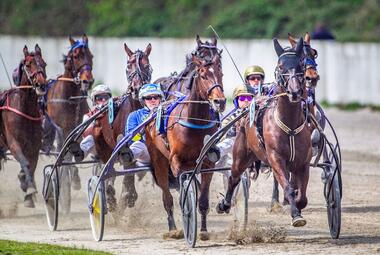 Gegengerade: Prosperous vor Inspector Bros und Halva von Haithabu (© Jan Melichar/GelsenTrabPark) Gegengerade: Prosperous vor Inspector Bros und Halva von Haithabu (© Jan Melichar/GelsenTrabPark)