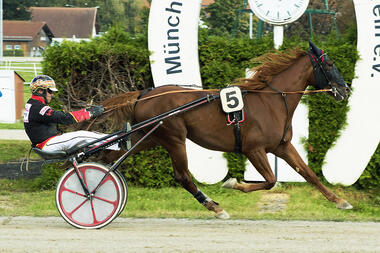 Espoir Rouge TU vor dem vierten Sieg in Bayern (fotofinish.de) Espoir Rouge TU vor dem vierten Sieg in Bayern (fotofinish.de)