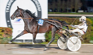 Halva von Haithabu und Kornelius Kluth sichern sich den 6. Lauf der Gold-Serie (Foto Marius Schwarz) Halva von Haithabu und Kornelius Kluth sichern sich den 6. Lauf der Gold-Serie (Foto Marius Schwarz)