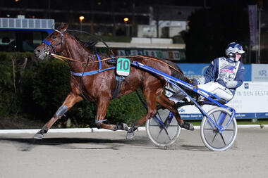 Quick Winner mit Umschauen (Foto: Marius Schwarz) Quick Winner mit Umschauen (Foto: Marius Schwarz)