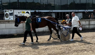 Mit Waldgeist rundet Robbin Bot seinen Hattrick ab (Foto: GelsenTrabPark) Mit Waldgeist rundet Robbin Bot seinen Hattrick ab (Foto: GelsenTrabPark)