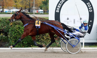 Rock my dreams mit Josef Franzl © Marius Schwarz Rock my dreams mit Josef Franzl © Marius Schwarz