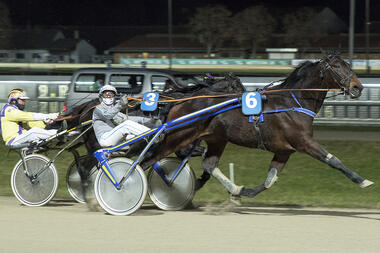 Popeye Diamant vor Kentucky Bo - so war es zuletzt am 15. Dezember (fotofinish.de) Popeye Diamant vor Kentucky Bo - so war es zuletzt am 15. Dezember (fotofinish.de)