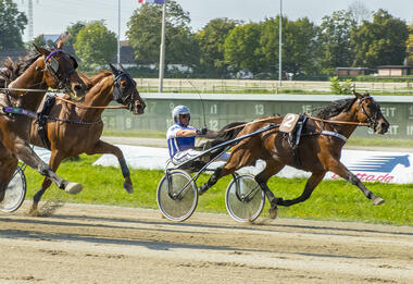 Sama Pride Venus mit Glück und Können (Foto: Franz Hahn)