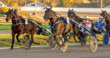 Sangria Pellini in der Gold-Serie (Foto: Marius Schwarz)